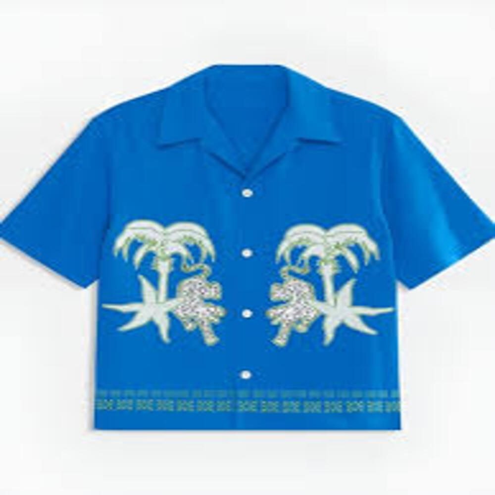 Access Daily 2025 Scott Evans Blue Camp Shirt: Style Guide & Buying Essentials
